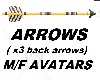 Arrows 3x back M/F
