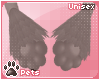 [Pets] Shel | paws