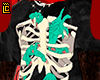 shirt bones