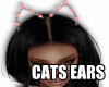 CATS EARS