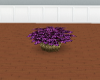 Purple Rose Planter