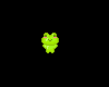 Tiny Happy Frog