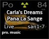 Pana La Sange_Live