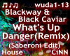 Blackway-WhatsUpDanger