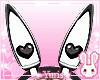 !! Bunny HB Anim