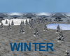 Winter Outdoor Bundle
