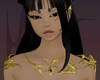 ☼ Gold Chest Piece