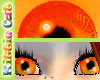 KC CANDY Eyes 1 orange