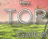 ✌ Dev| Top