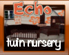 echo twin nursery