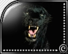 (c) Panther