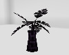 ~S~ Sexy Dark Plant