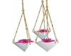 Modern Hanging Flowers