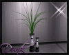 Q Dlight Plant Vase