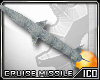 Cruise Missile