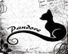 Pandore Cat