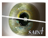 Saint's Eyes - G/Gr h.Ch