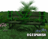 Tropical Forest  Bench 2