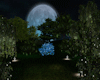 Blue Moon Garden Room