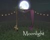 AV Moonlight