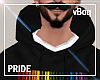 v. Pride Sweater