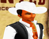 [DL] White Cowboy Hat