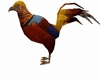 Golden Pheasant