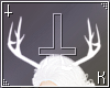 Antlers White