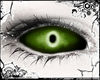 𝓐. Primal ⚤ Moss