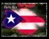 Puerto Rican Flag/flower