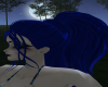 Blue Ponytail
