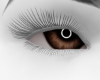 Brown Beauty Eyes Brown Beauty Eyes