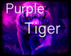 purple tiger art 2