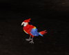 Parrot anim fly/flip