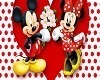 mickey minnie shower