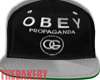 Obey The Coco Snapback