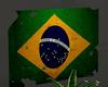 Old Flag Brazil