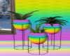 Rainbowz Plants