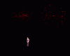 Fireworks Celebrate