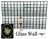 Glass Wall -w-