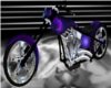 Purple Passion ll Harley