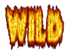 Wild (in fire)