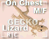 R|C Gecko Brown M/F