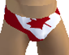 canada briefs