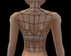 female anyskin back mesh