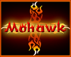 ESC:PhnxMstr~Mohawk