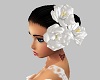 White Head Flowers