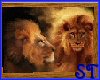  !ST! Lion Picture