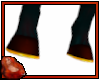 *C Bay Brown Horse Hoove