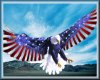 american eagle 3